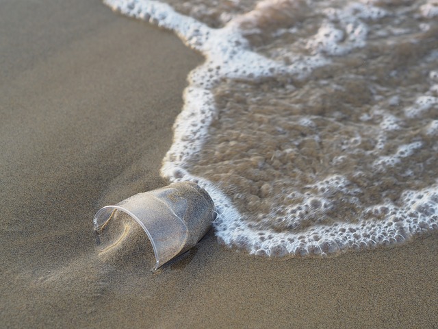 En plastik kop i vandkanten på en strand illustrerer CSR
