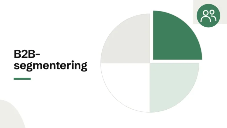 B2B-segmentering